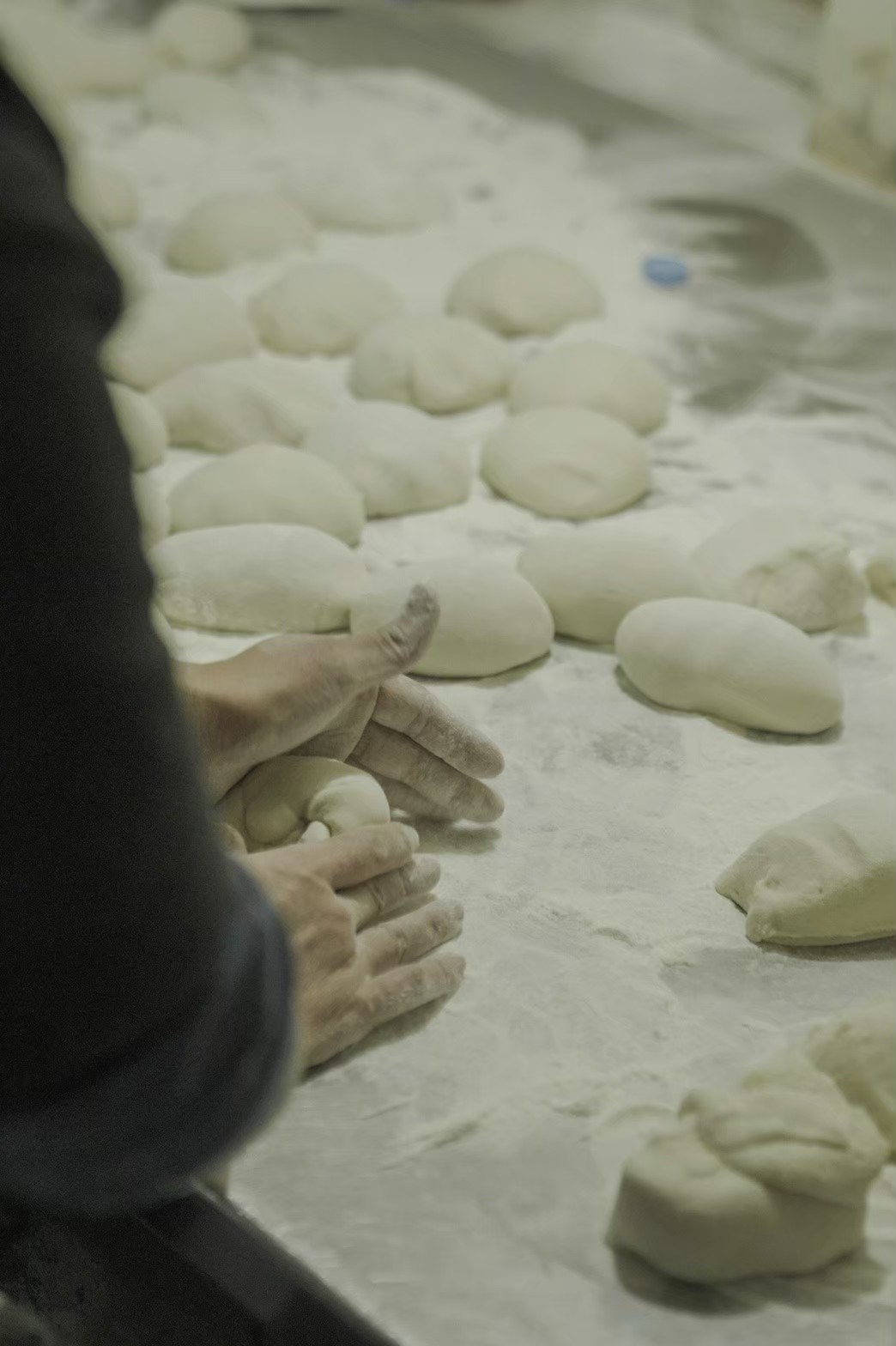 享活者的離島冒險 life catcher｜活動紀錄